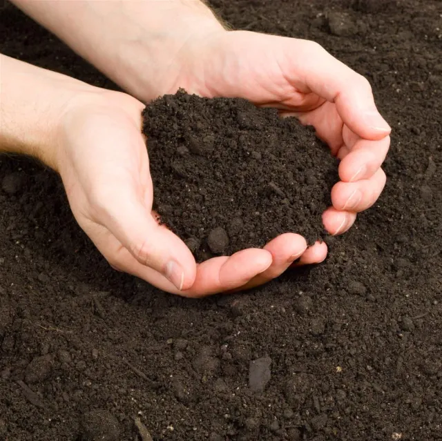 Screened Topsoil media