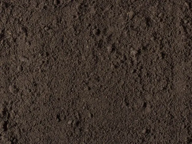 Screened Topsoil
